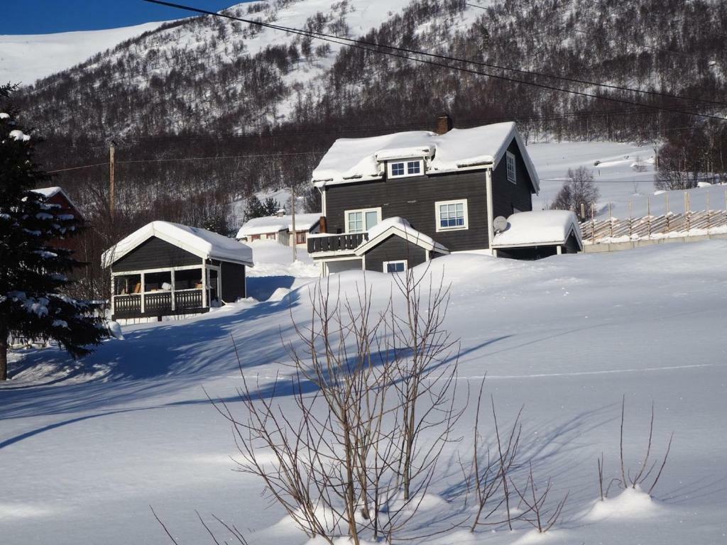 Apartment Between Ustaoset And Geilo Εξωτερικό φωτογραφία